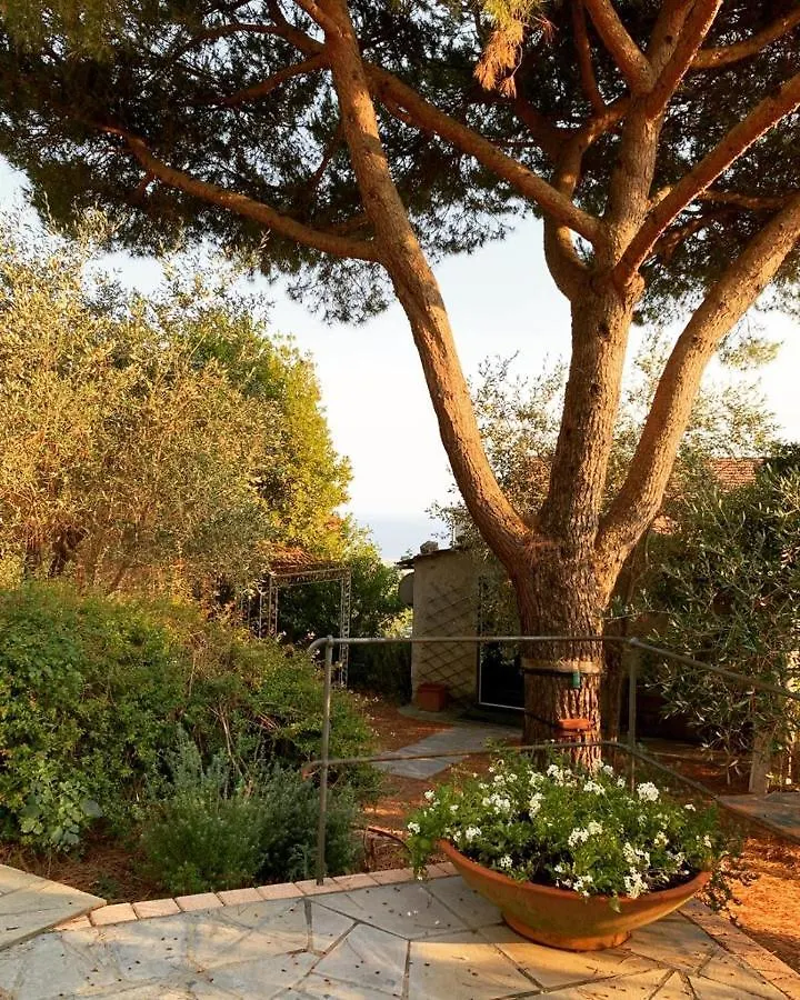 Il Gelso Bed & Breakfast San Bartolomeo
