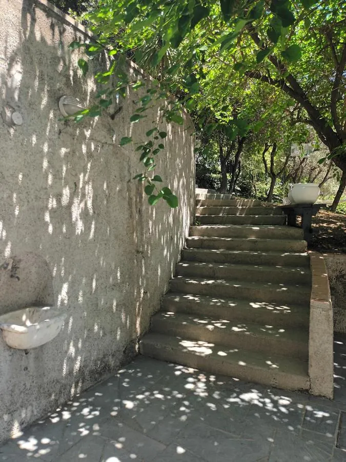 Il Gelso Bed & Breakfast San Bartolomeo