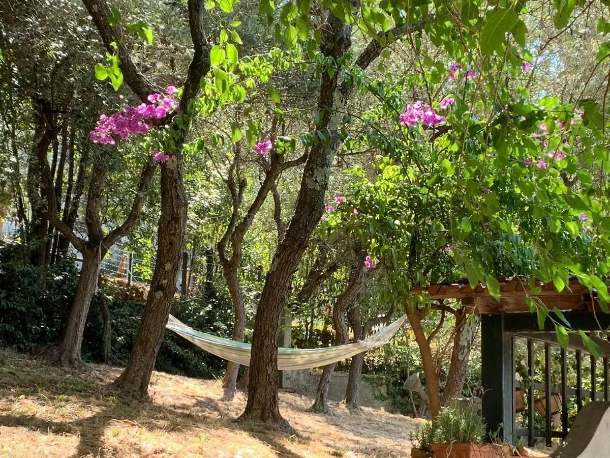 Il Gelso Bed & Breakfast San Bartolomeo  Italy