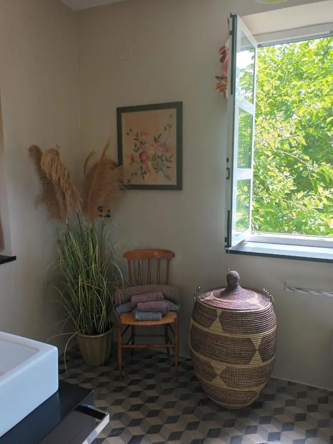 Il Gelso Bed & Breakfast San Bartolomeo