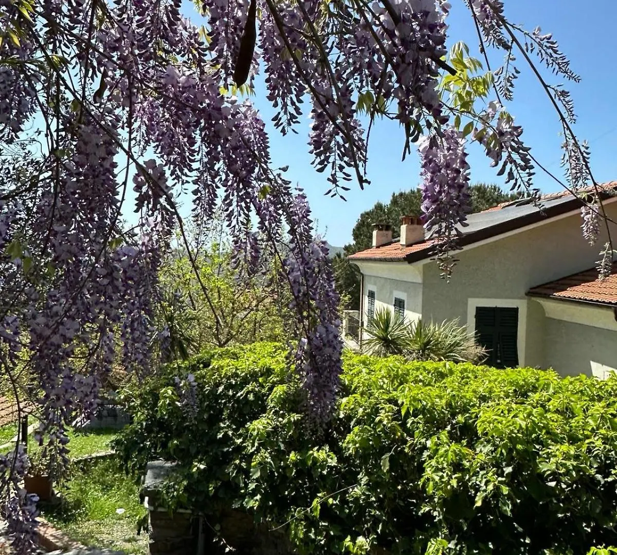 Il Gelso Bed & Breakfast San Bartolomeo